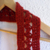 Écharpe bordeaux fourche