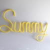sunny tricotin